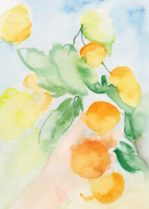 kheiralinder laranjas